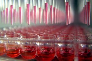 pharmaceuticals & injectables PETRA INTERNATIONAL φάρμακα & ενέσιμα library 1